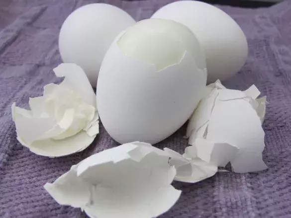 Легкий белковый завтрак