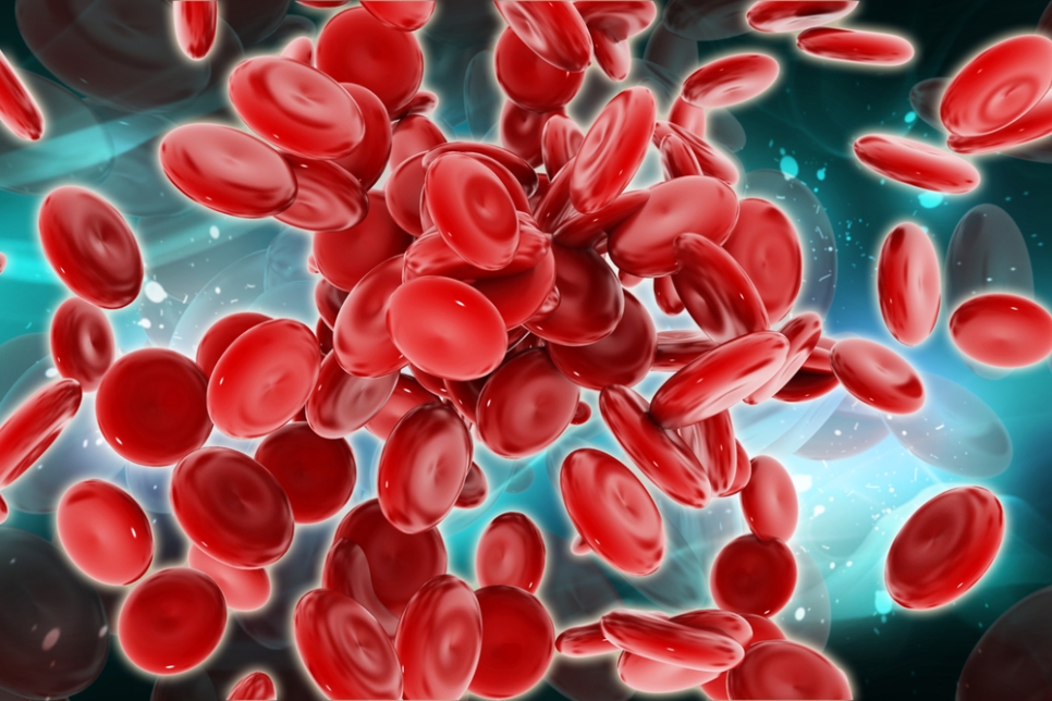 Открытие новых механизмов образования клеток позволит лечить болезни крови