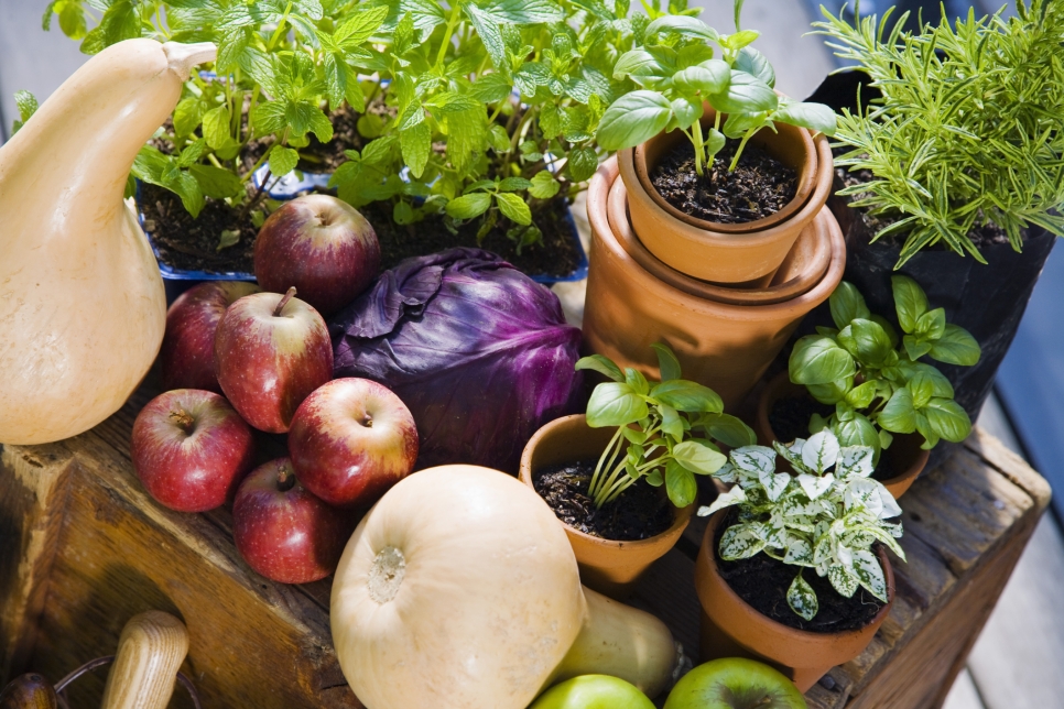 Какие продукты способствуют похудению