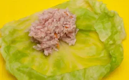 Рис в капустных листьях с курицей